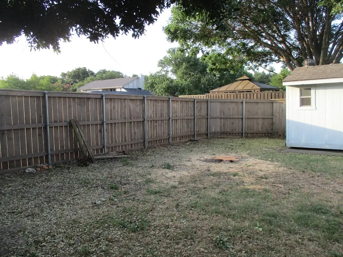 Cleared yard after professional tree removal in Bath Springs