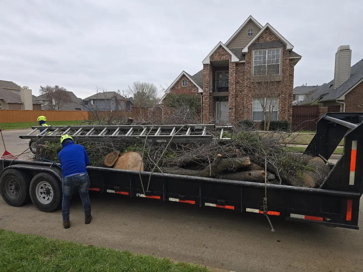 Expert Tree Removal with proper safety equipment in Bath Springs